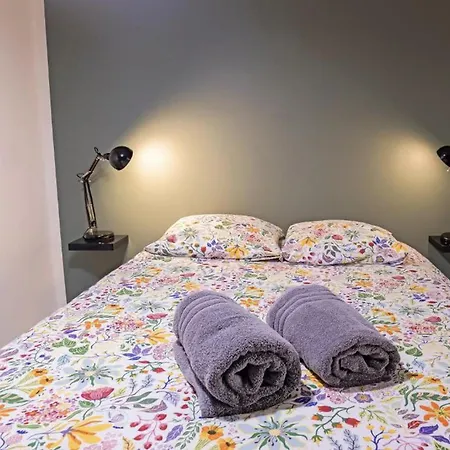Les Duplex Du Puy & Etape Compostelle Centre-ville Lejlighed