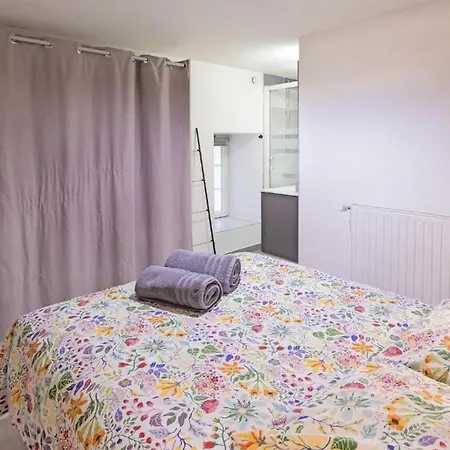 Les Duplex Du Puy & Etape Compostelle Centre-ville *