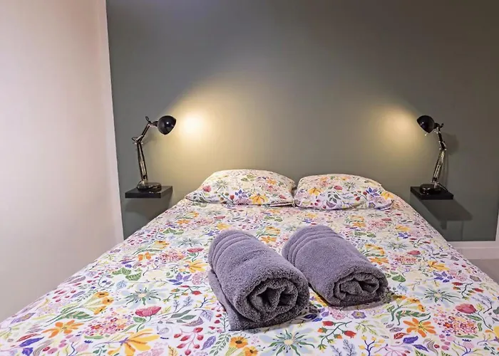 Les Duplex Du Puy Gare & Compostelle Daire