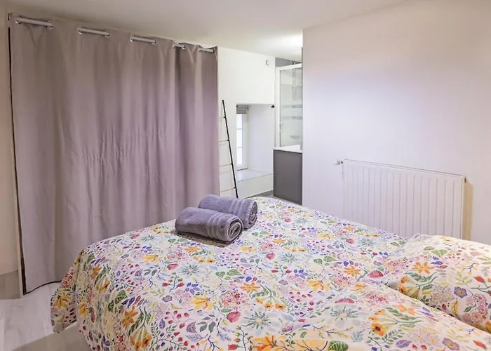 Les Duplex Du Puy Gare & Compostelle *